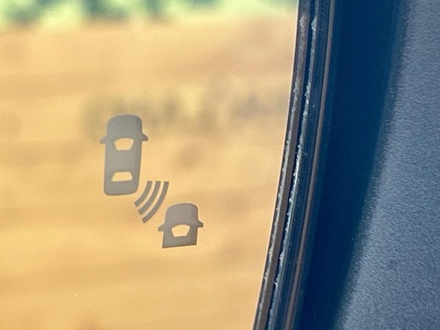 NISSAN SERENA  WG 2020 Image 31