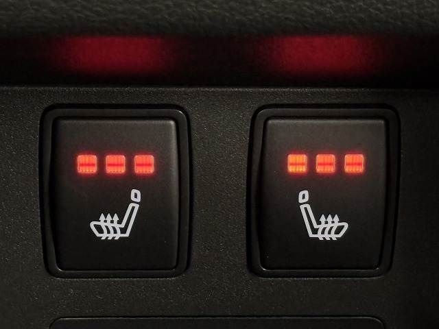 NISSAN X-TRAIL HYBRID 4WD 2023 Image 31