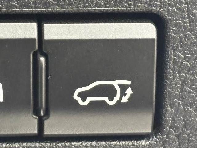 TOYOTA LEXUS NX300H AWD 2019 Image 31