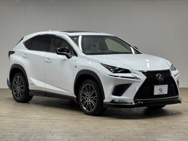 TOYOTA LEXUS NX300H AWD 2019 Image 31