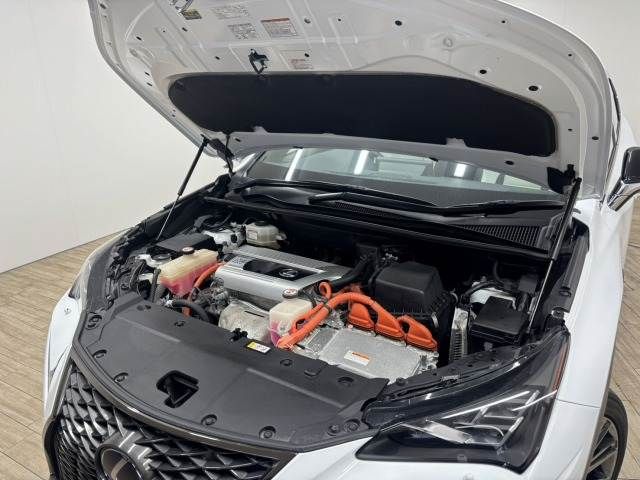 TOYOTA LEXUS NX300H AWD 2019 Image 31