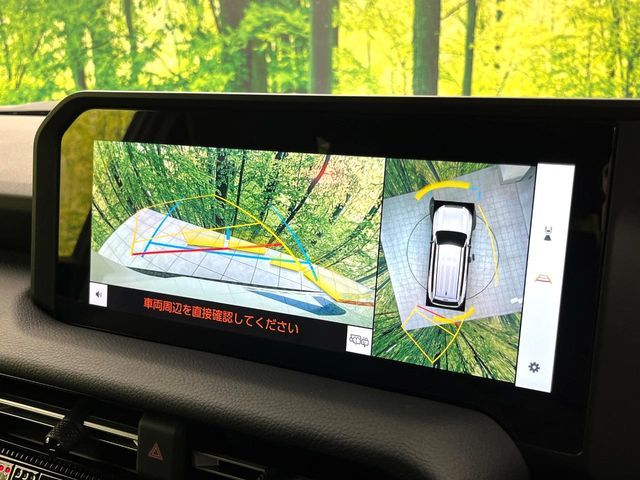 TOYOTA LANDCRUISER 250 2025 Image 31