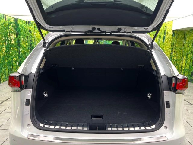 TOYOTA LEXUS NX300H 2017 Image 31