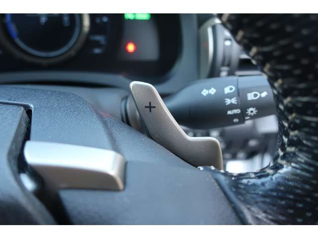 TOYOTA LEXUS IS300H 2016 Image 31