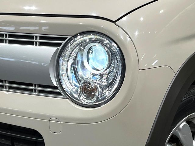 SUZUKI ALTO LAPIN 2019 Image 31