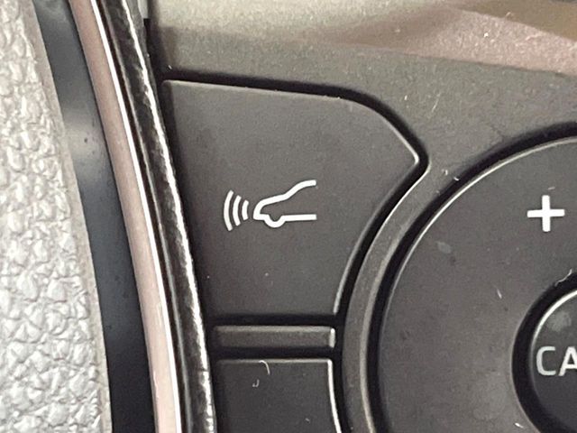 TOYOTA RAV4 4WD 2019 Image 31