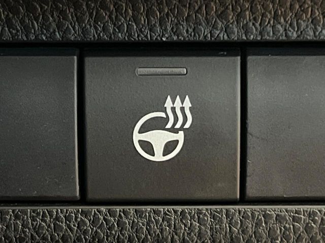 TOYOTA RAV4 4WD 2019 Image 31