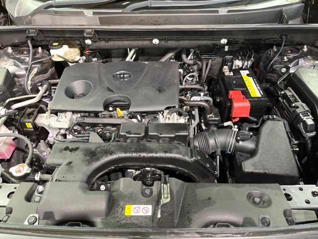 TOYOTA RAV4 4WD 2019 Image 31