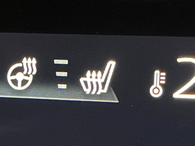 MAZDA MX-30 2021 Image 31