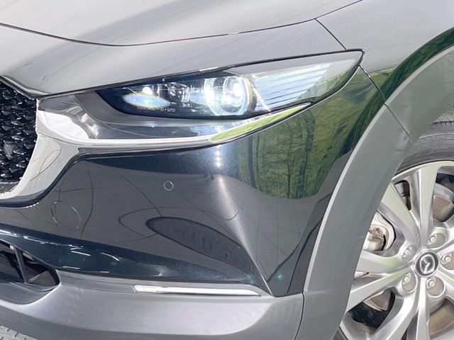 MAZDA CX-30 2020 Image 31