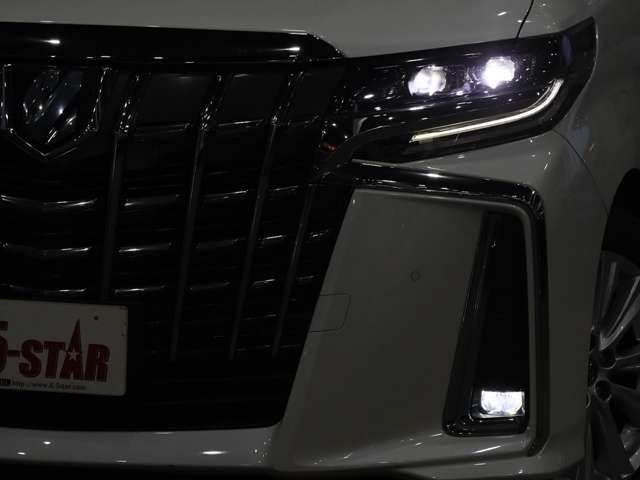 TOYOTA ALPHARD 4WD 2019 Image 31