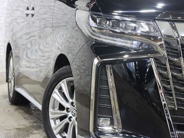 TOYOTA ALPHARD 2020 Image 31