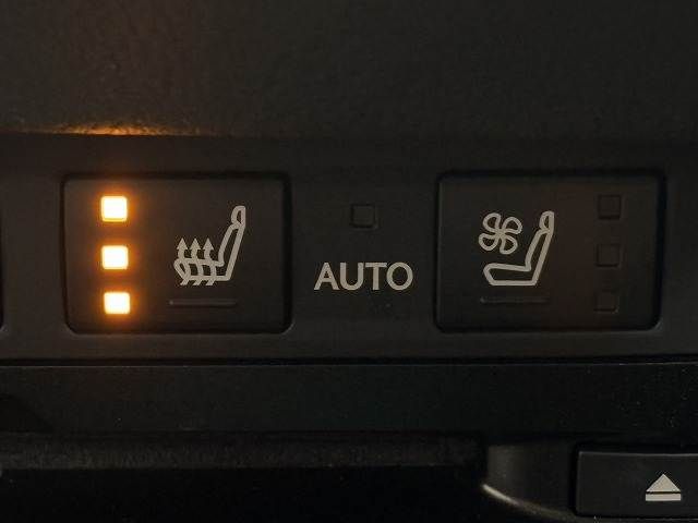 TOYOTA LEXUS ES300H 2019 Image 31