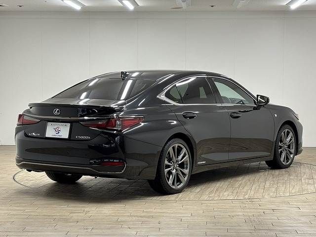 TOYOTA LEXUS ES300H 2019 Image 31