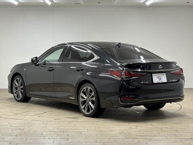 TOYOTA LEXUS ES300H 2019 Image 31