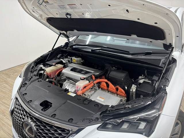 TOYOTA LEXUS NX300H AWD 2015 Image 31