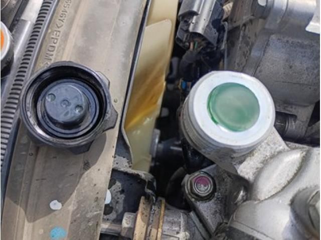 ISUZU ELF 2021 Image 31