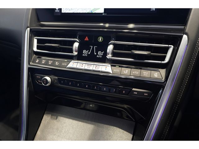 BMW 8SERIES 2021 Image 31