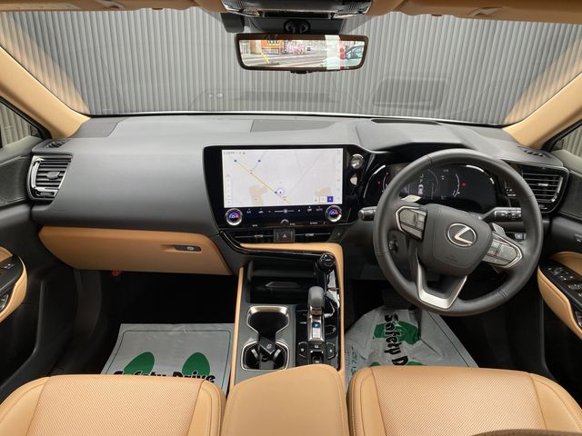TOYOTA LEXUS NX250 2023 Image 31