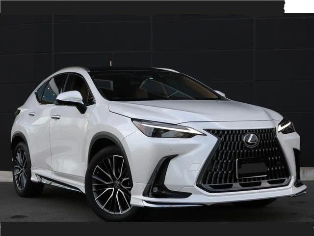 TOYOTA LEXUS NX250 2023 Image 31