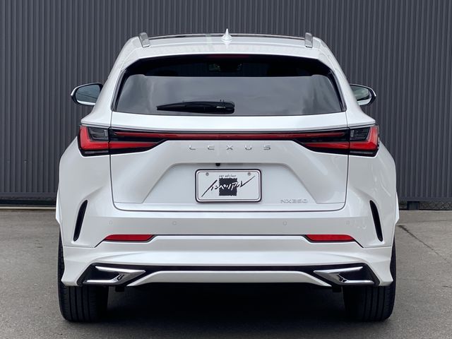 TOYOTA LEXUS NX250 2023 Image 31