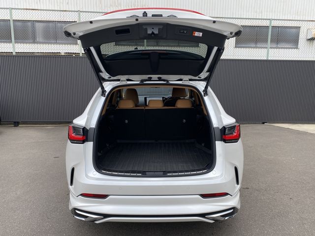 TOYOTA LEXUS NX250 2023 Image 31