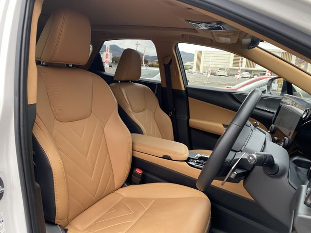 TOYOTA LEXUS NX250 2023 Image 31
