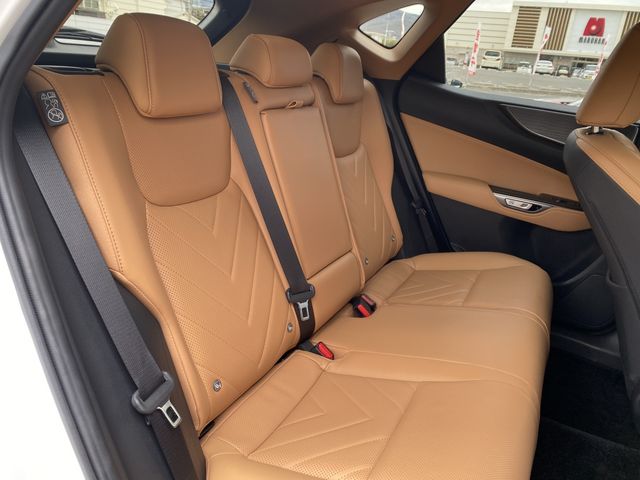 TOYOTA LEXUS NX250 2023 Image 31