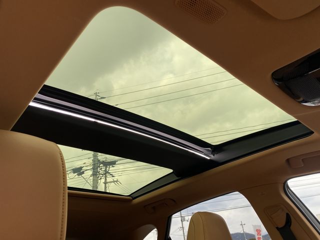 TOYOTA LEXUS NX250 2023 Image 31