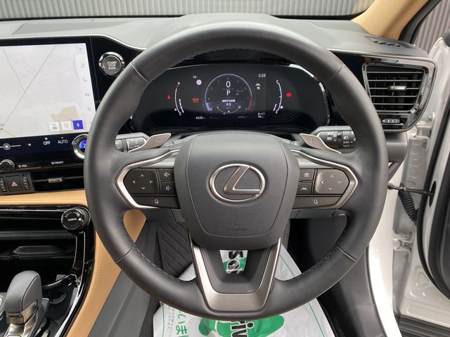 TOYOTA LEXUS NX250 2023 Image 31