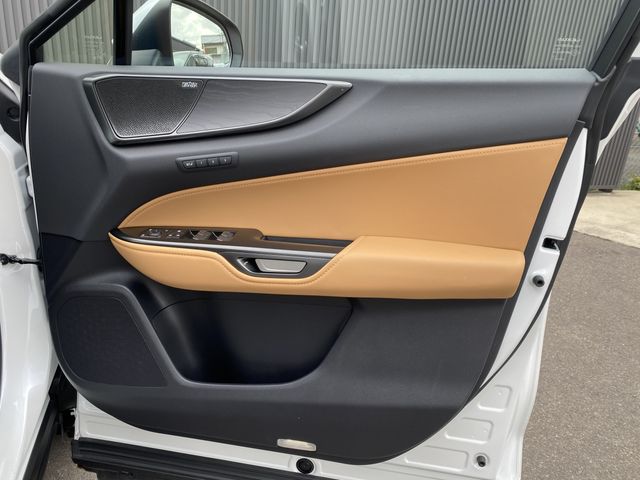 TOYOTA LEXUS NX250 2023 Image 31