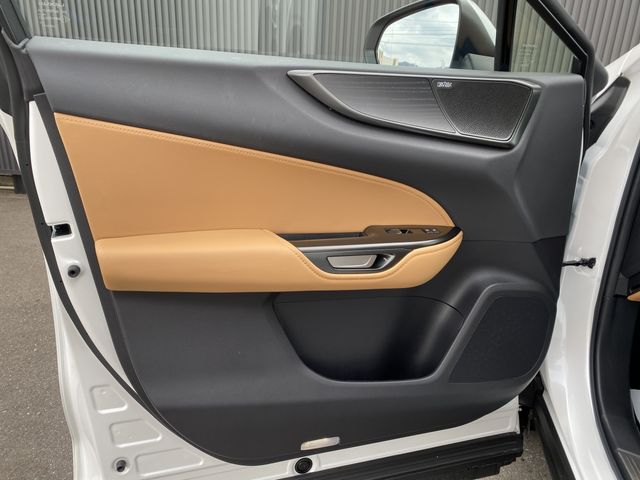 TOYOTA LEXUS NX250 2023 Image 31