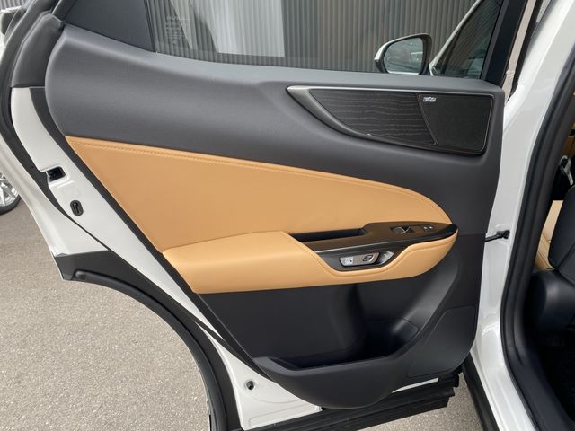 TOYOTA LEXUS NX250 2023 Image 31