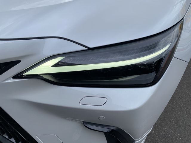 TOYOTA LEXUS NX250 2023 Image 31