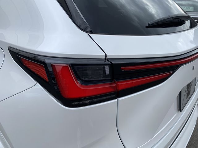 TOYOTA LEXUS NX250 2023 Image 31