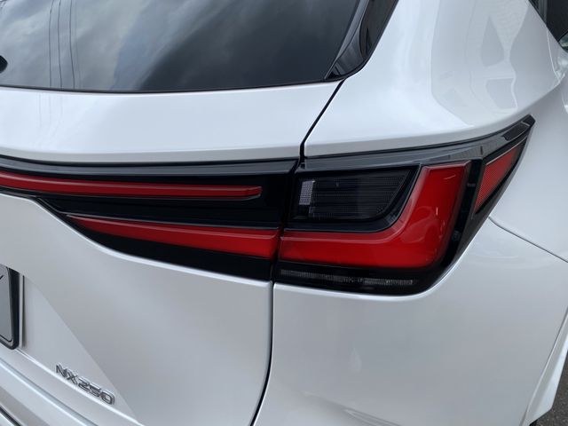 TOYOTA LEXUS NX250 2023 Image 31