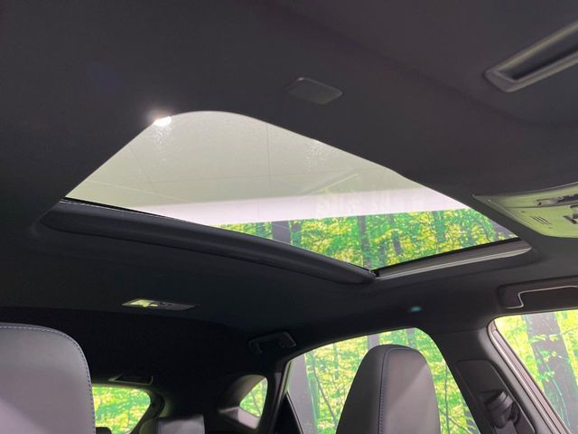 TOYOTA LEXUS NX300 2020 Image 31