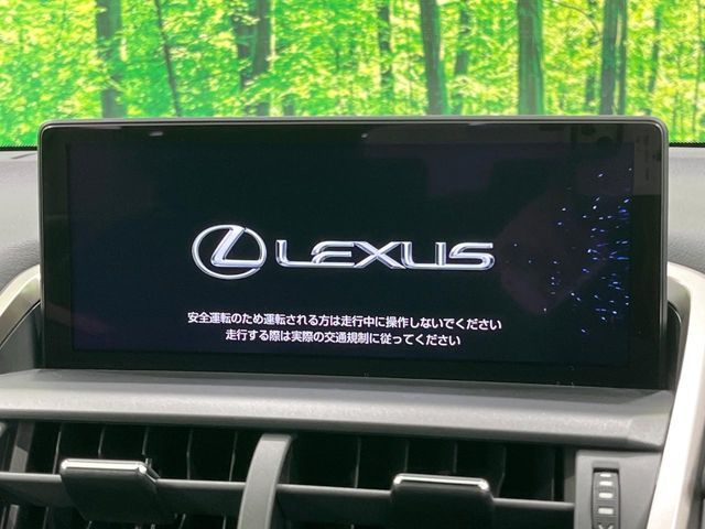TOYOTA LEXUS NX300 2020 Image 31