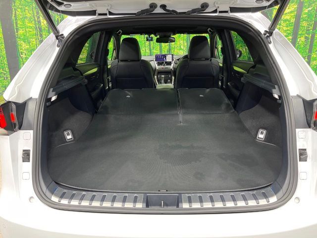 TOYOTA LEXUS NX300 2020 Image 31