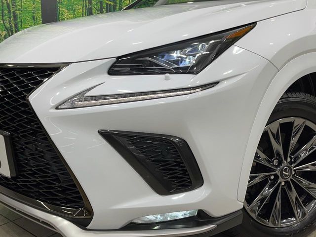 TOYOTA LEXUS NX300 2020 Image 31