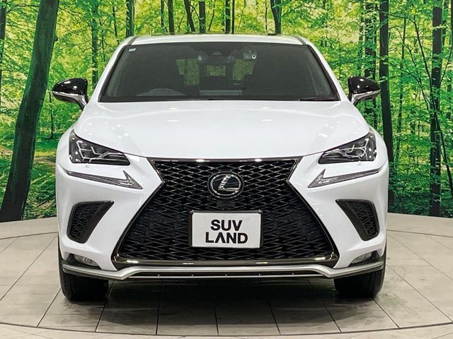 TOYOTA LEXUS NX300 2020 Image 31