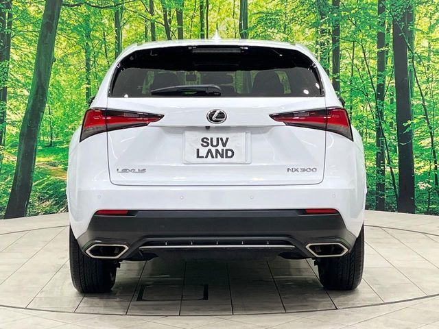 TOYOTA LEXUS NX300 2020 Image 31