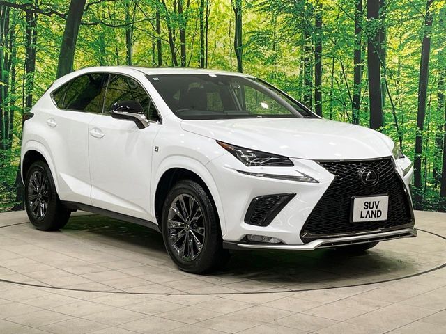 TOYOTA LEXUS NX300 2020 Image 31
