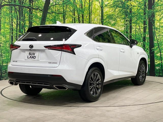 TOYOTA LEXUS NX300 2020 Image 31
