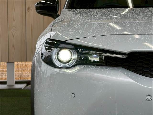 MAZDA MX-30 2021 Image 31