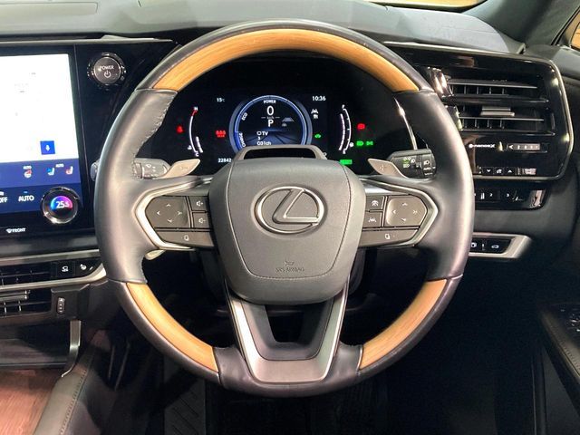 TOYOTA LEXUS RX350H 2023 Image 31