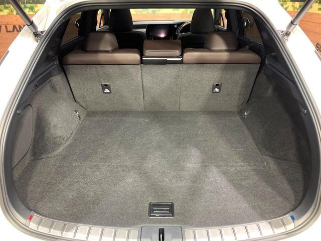 TOYOTA LEXUS RX350H 2023 Image 31