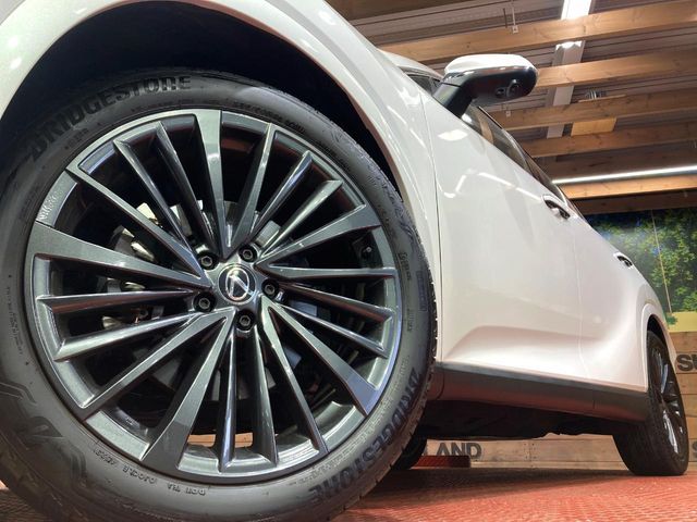 TOYOTA LEXUS RX350H 2023 Image 31