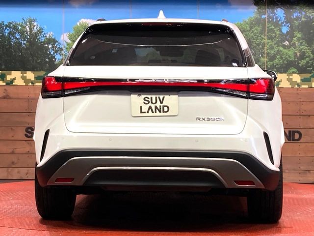 TOYOTA LEXUS RX350H 2023 Image 31