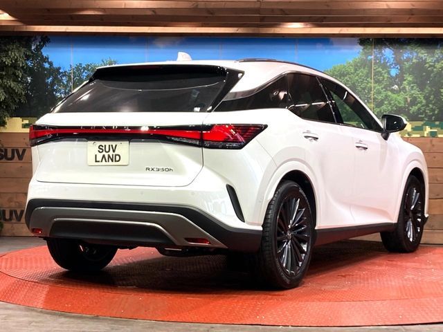 TOYOTA LEXUS RX350H 2023 Image 31
